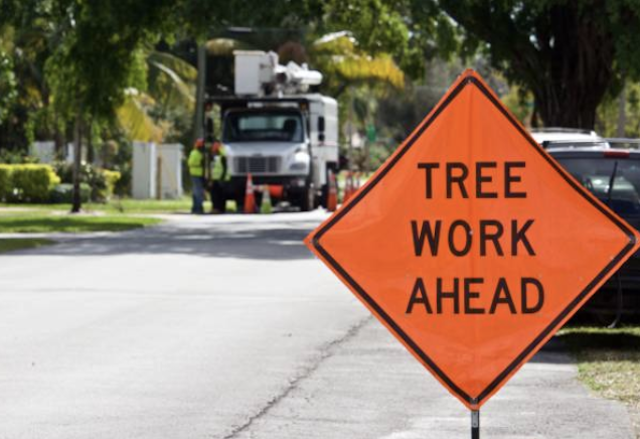 emergency tree trimming