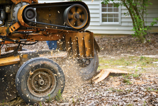 stump grinding providence ri